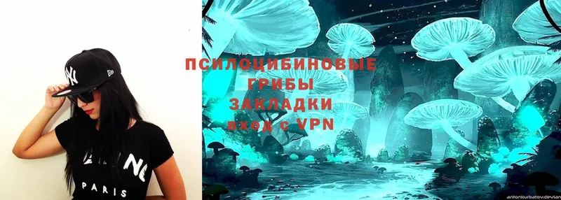 Галлюциногенные грибы Psilocybe  это формула  Абаза  hydra зеркало 